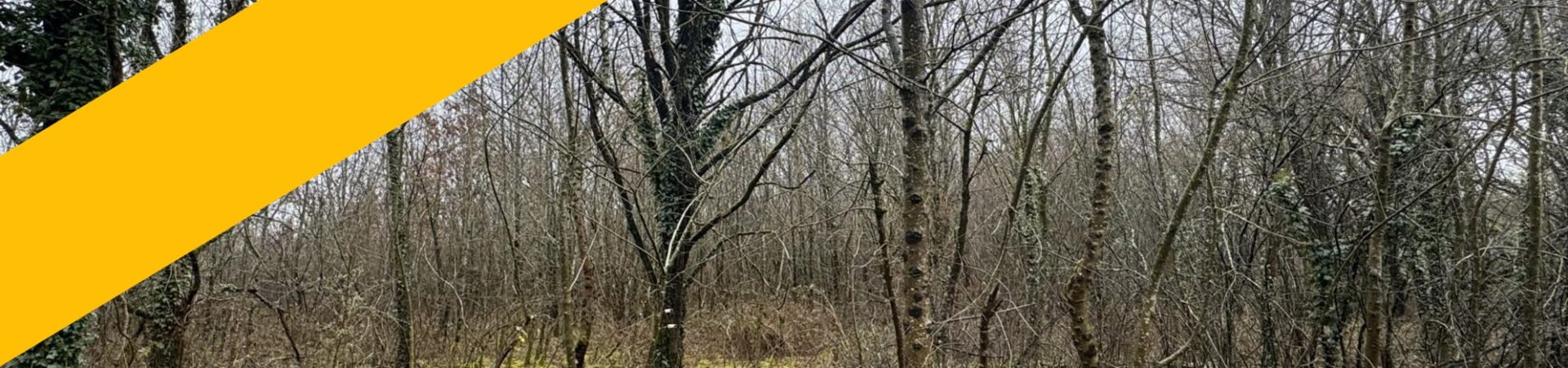 2dc75559f7e9f9f49813ae7b41d21e53-6